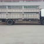 XE TẢI ISUZU 9 TẤN FVR34QE4 CHỞ GIA SÚC